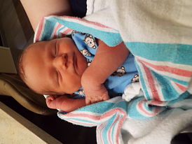 ZACHARY LEE  Baby Pic