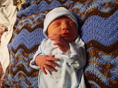 LINCOLN RIDGE Baby Pic