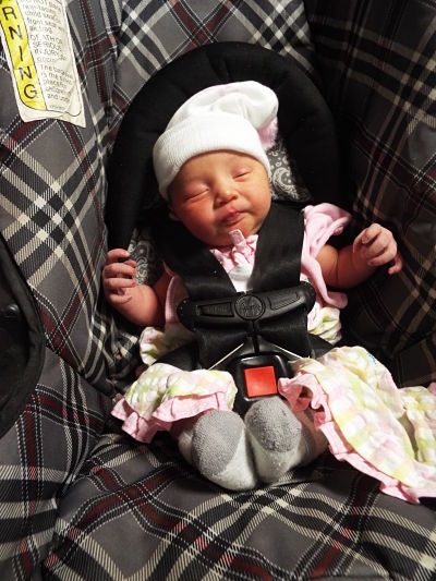 APHRODITE SAFFRON Baby Pic
