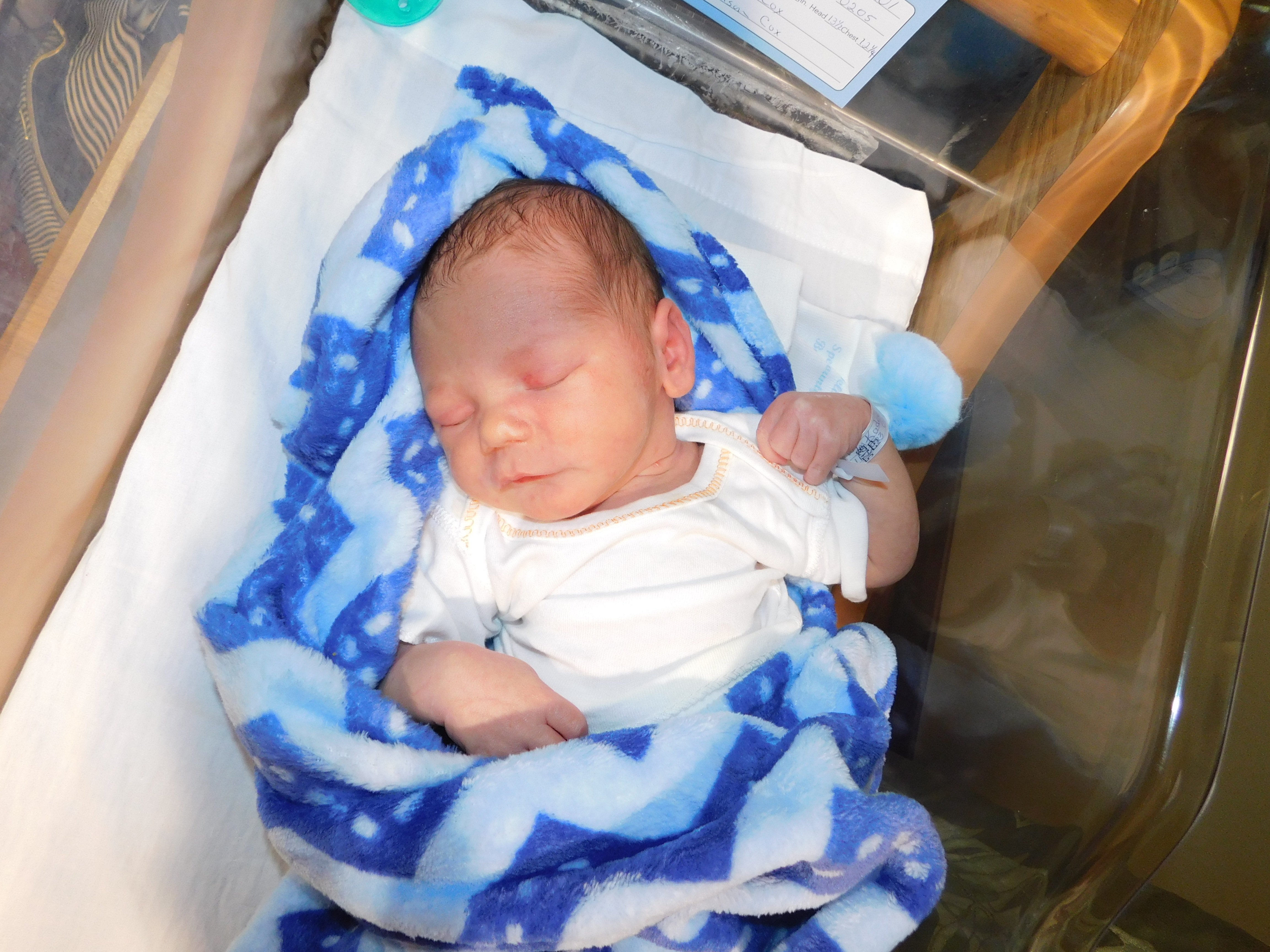 Ezra Donald Ted Harris Baby Pic