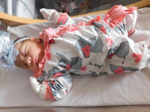 BRAYLYNN LEE