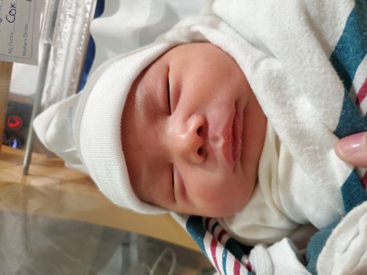 AUSTIN ELEXANDER Baby Pic