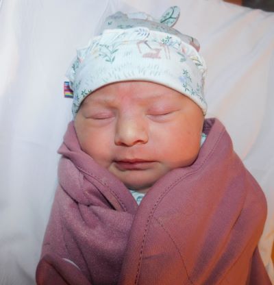 Wrenley Grace  Baby Picture